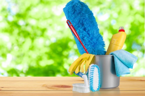 Residential window cleaning in Croydon for a well-maintained home