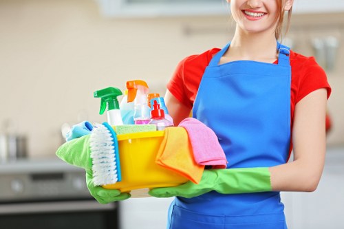 Professional house cleaning in Croydon for a tidy living room