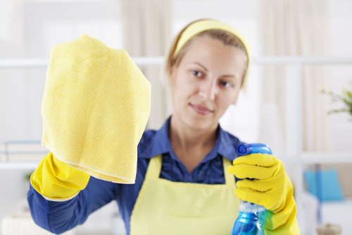 Professional cleaner in Croydon preparing a modern home for cleaning
