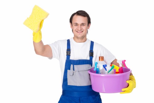Regular domestic cleaning in Croydon bathroom