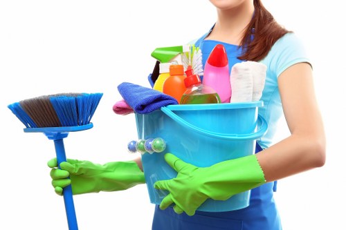 Local Croydon cleaning team providing deep cleaning support in a bathroom