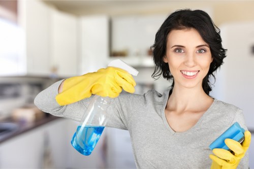 Domestic cleaning service in Croydon focusing on kitchen surfaces