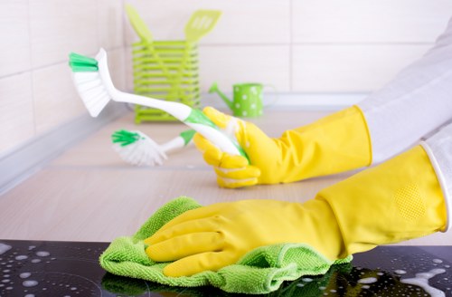 Local carpet cleaning service restoring a carpet in Croydon