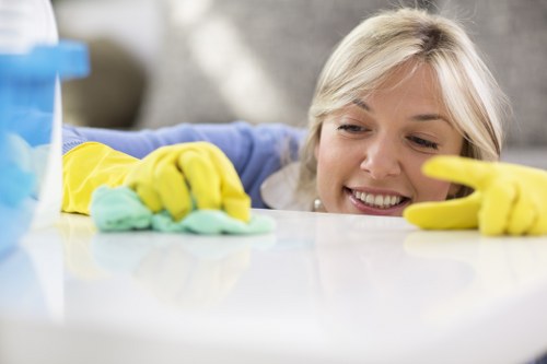 Deep carpet cleaning process for Croydon properties
