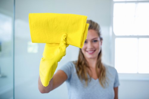Quotation request for carpet cleaning in Croydon