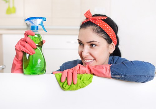 Stain removal and odour treatment on upholstered furniture