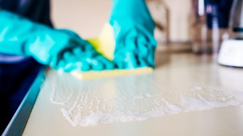 Croydon oven cleaner polishing oven glass and interior surfaces