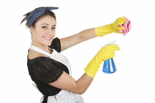 Supervisor reviewing safety procedures during a carpet cleaning job