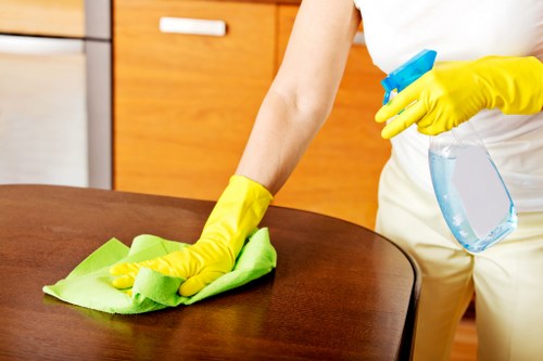 Local Croydon oven cleaning specialist restoring a kitchen appliance