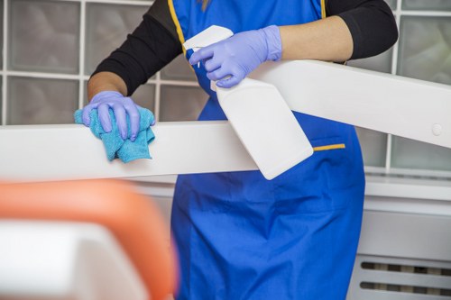 Croydon cleaning professionals handling carpet and kitchen cleaning